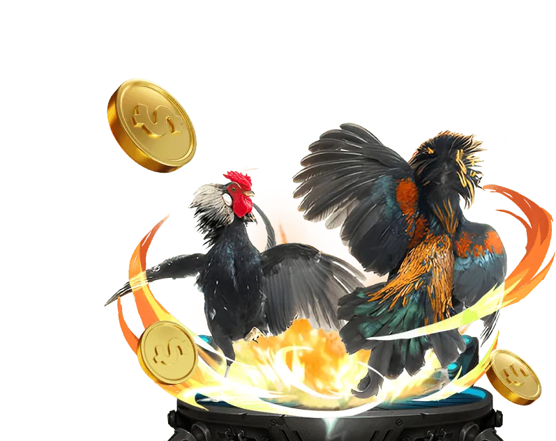 Xu hướng thị trường cá cược j88 app